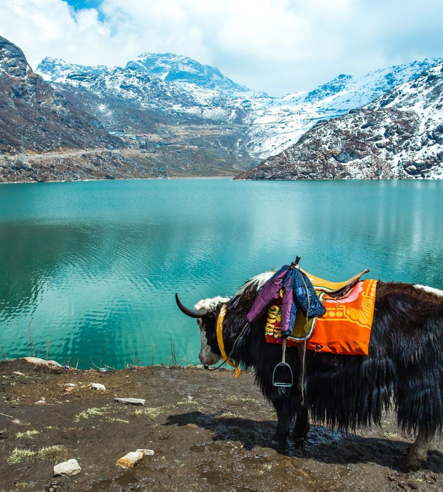 Sikkim